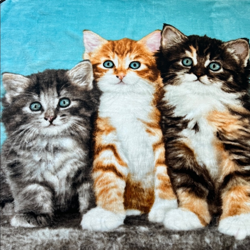 Kids Charming Cat Trio Blanket 48x58 Soft Fleece Throw Adorable Kittens Cozy